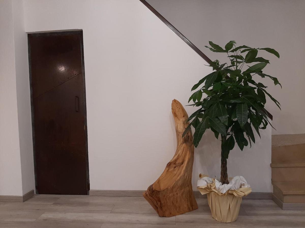 B&B Da Baba Ghizzano Exteriér fotografie