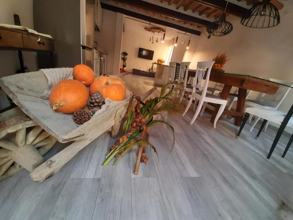 B&B Da Baba Ghizzano Exteriér fotografie